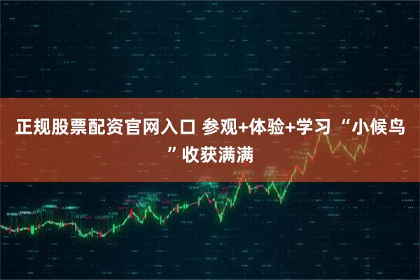 正规股票配资官网入口 参观+体验+学习 “小候鸟”收获满满