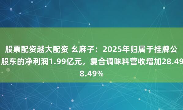 股票配资越大配资 幺麻子：2025年归属于挂牌公司股东的净利润1.99亿元，复合调味料营收增加28.49%